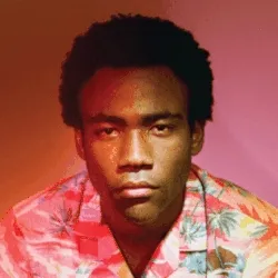 Because the Internet album cover